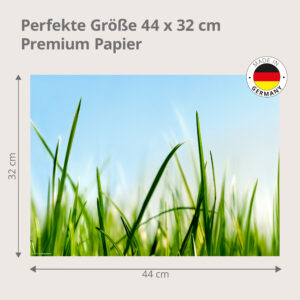 Frisches Gras – Frühlingswiese im Gegenlicht - Tischset Papier – Bild 3