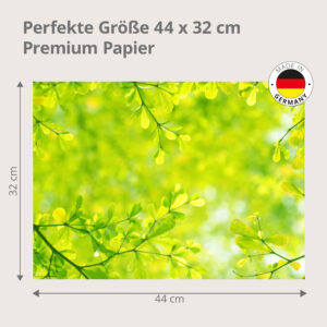 Frühlingsgrün – zarte Blätter im Sonnenlicht - Tischset Papier – Bild 3