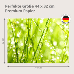 Tautropfen – Grashalme im Morgentau - Tischset Papier – Bild 3