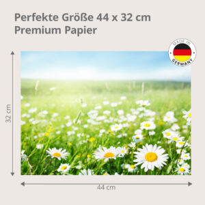 Gänseblümchen – blühende Wiese im Frühlingslicht - Tischset Papier – Bild 3