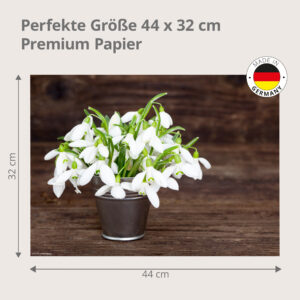 Schneeglöckchen – zarter Strauß im Zinkeimer - Tischset Papier – Bild 3