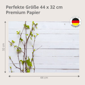 Birkenzweige – erste Knospen auf weißem Holz - Tischset Papier – Bild 3