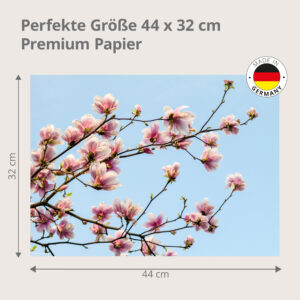 Magnolie – rosa Blüten vor Frühlingshimmel - Tischset Papier – Bild 3