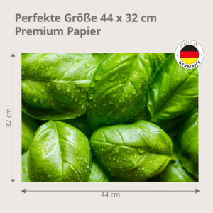 Basilikum – frische Basilikum Blätter mit Tautropfen - Tischset Papier – Bild 3