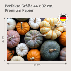 Kürbisse – bunte Zierkürbisvielfalt - Tischset Papier – Bild 3