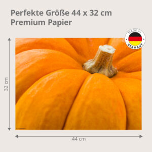 Kürbis – orangefarbener Zier und Speisekürbis - Tischset Papier – Bild 3