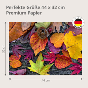 Herbst – farbenprächtiger Blätterteppich – Papiertischsets Großpackung – Bild 3