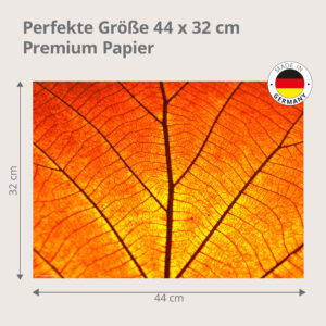 Herbst – leuchtendes Blattadern - Tischset Papier – Bild 3