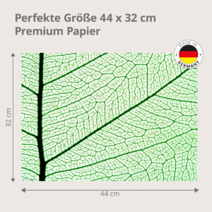 Blattadern - Tischset Papier – Bild 3