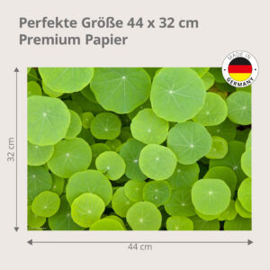 Runde Blätter - Tischset Papier – Bild 3