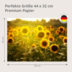 Sommer – Sonnenblumenfeld in der Sonne - Tischset Papier – Bild 3