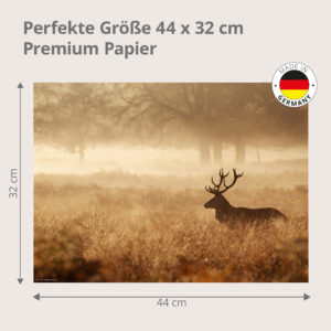 Hirsch – Im Herbstnebel Goldenes Feld – Papiertischsets Großpackung – Bild 3