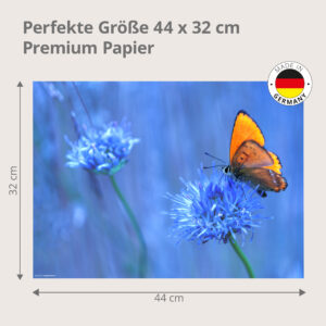 Feuerfalter auf Kornblume - Tischset Papier – Bild 3