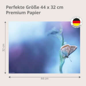 Schmetterling Bläuling in Pastellblau - Tischset Papier – Bild 3