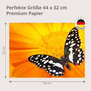 Schmetterling auf Orangeblüte - Tischset Papier – Bild 3