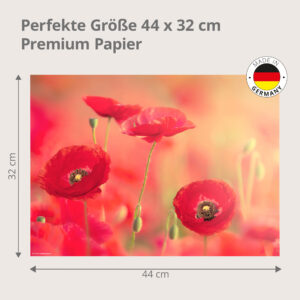 Blumen – Rote Mohnblumen - Tischset Papier – Bild 3
