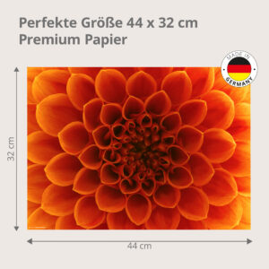 Blumen – Dahlie - Tischset Papier – Bild 3