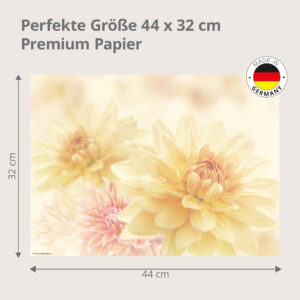Blumen – weisse Dahlien - Tischset Papier – Bild 3