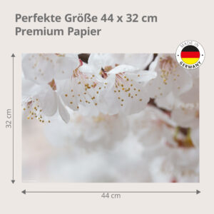 Frühling - Zarte Kirschblüten weiß - Tischset Papier – Bild 3