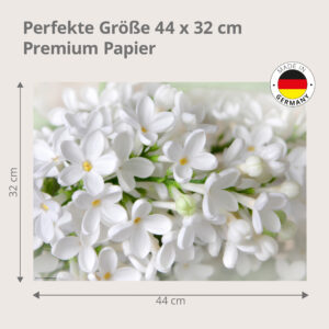 Weiße Flieder Blüten - Tischset Papier – Bild 3