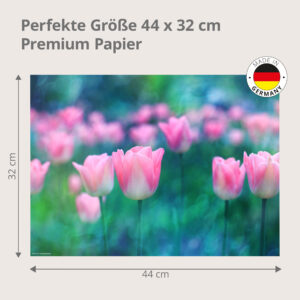 Tulpenfeld mit rosa Blüten im Morgenlicht - Tischset Papier – Bild 3