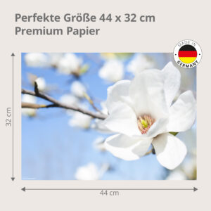weiße Magnolienblüte mit blauen Himmel - Tischset Papier – Bild 3