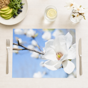 weiße Magnolienblüte mit blauen Himmel - Tischset Papier – Bild 1