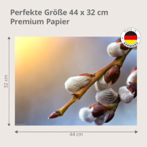 Weidenkätzchen – Frühlingsboten im Abendlicht - Tischset Papier – Bild 3