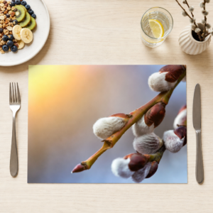 Weidenkätzchen – Frühlingsboten im Abendlicht - Tischset Papier – Bild 1