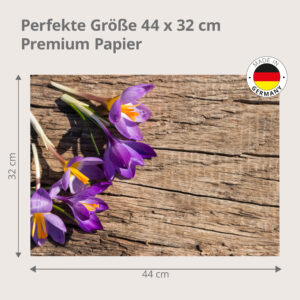 Krokus – lila Frühlingsboten auf Holztisch - Tischset Papier – Bild 3