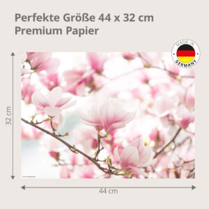 Magnolienbaum – zartrosa Blütenpracht - Tischset Papier – Bild 3