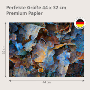 Herbstblätter – Eichenlaub mit Raureif - Tischset Papier – Bild 3