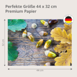 Eicheln – Herbstfrüchte auf rustikalem Holz - Tischset Papier – Bild 3