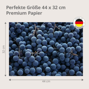Weintrauben – blaue Ernte - Tischset Papier – Bild 3
