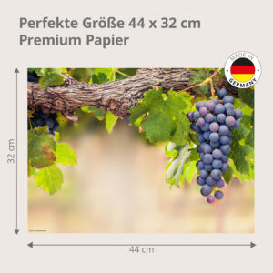 Weinberg – rote Trauben an der Rebe - Tischset Papier – Bild 3