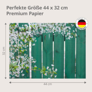 Kirschblüten – weiße Zweige vor grünem Zaun - Tischset Papier – Bild 3