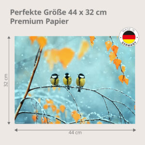 Kohlmeisen im Schnee - Tischset Papier – Bild 3