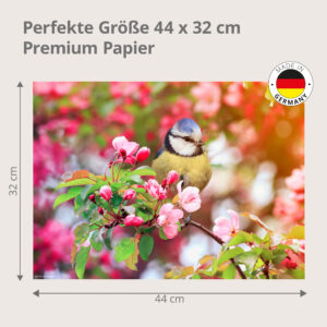 Blaumeise im Frühling - Tischset Papier – Bild 3