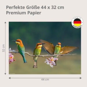 Drei bunte Bienenfresser - Tischset Papier – Bild 3