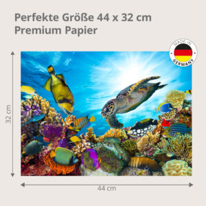 Unterwasserwelt am Korallenriff - Tischset Papier – Bild 3