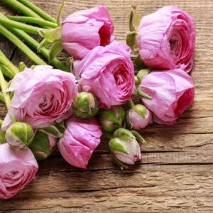Blumenliebe