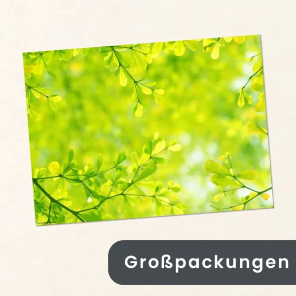 Großverpackung - Frühlingsgrün – zarte Blätter im Sonnenlicht - Papiertischsets